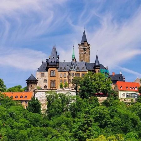 Ferienhaus Wernigerode "Am Schlossbuehel" 5 Schlafzimmer Eksteriør billede