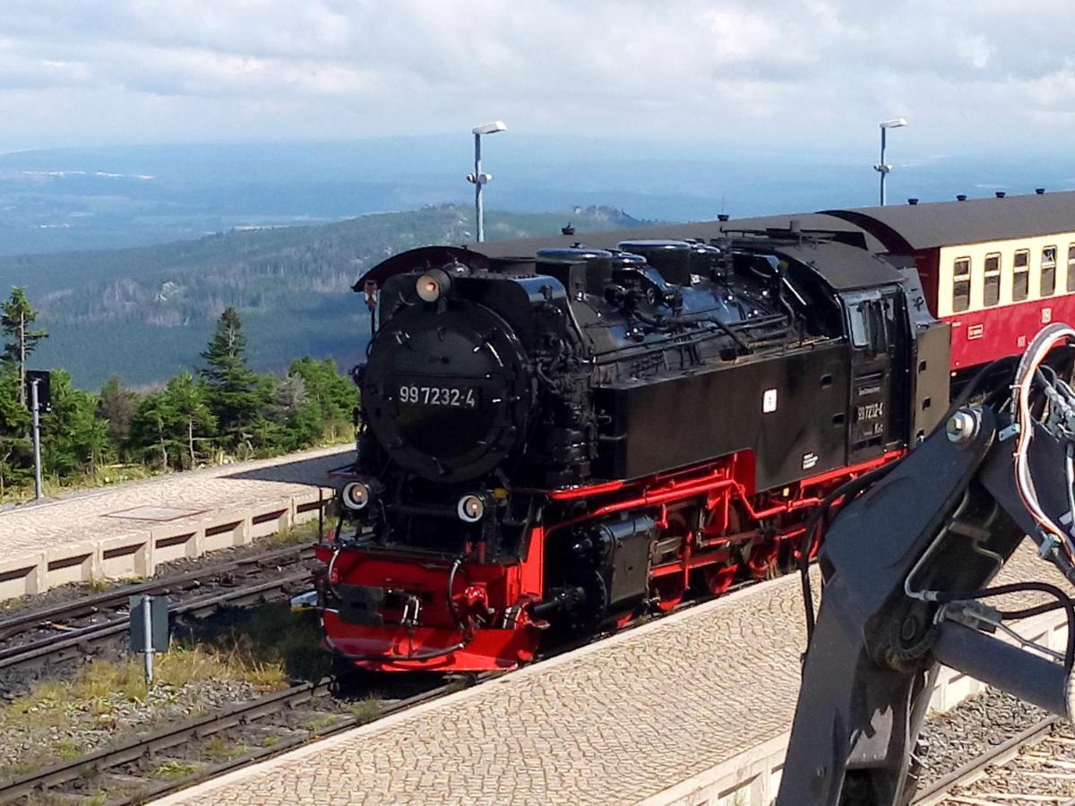 Ferienhaus Wernigerode "Am Schlossbuehel" 5 Schlafzimmer Eksteriør billede