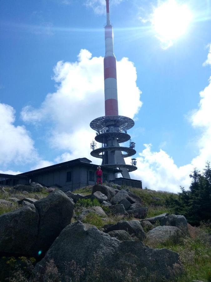 Ferienhaus Wernigerode "Am Schlossbuehel" 5 Schlafzimmer Eksteriør billede