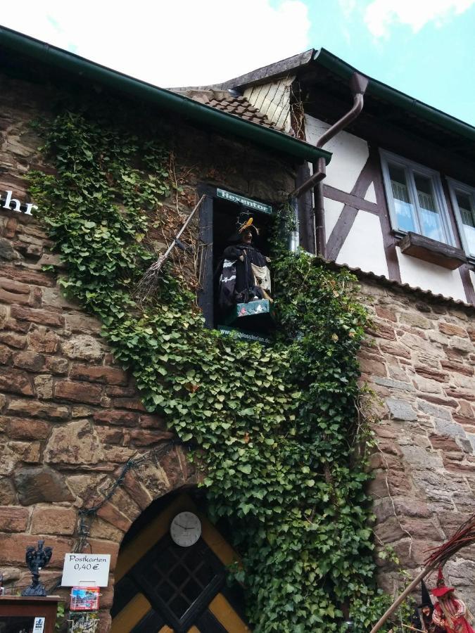 Ferienhaus Wernigerode "Am Schlossbuehel" 5 Schlafzimmer Eksteriør billede