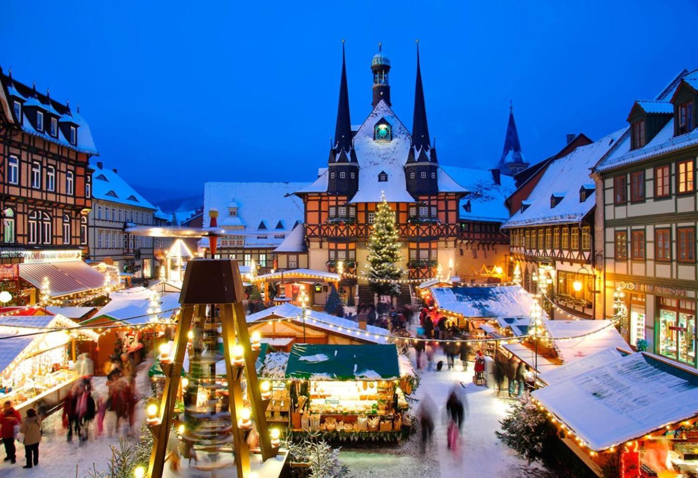 Ferienhaus Wernigerode "Am Schlossbuehel" 5 Schlafzimmer Eksteriør billede